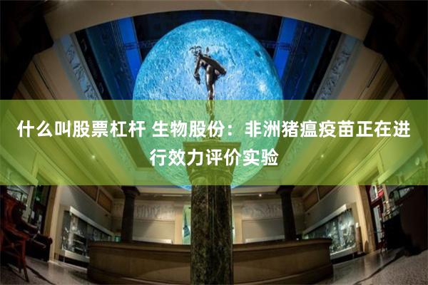 什么叫股票杠杆 生物股份：非洲猪瘟疫苗正在进行效力评价实验