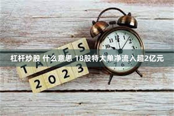 杠杆炒股 什么意思 18股特大单净流入超2亿元