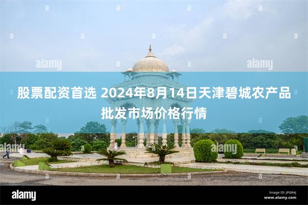 股票配资首选 2024年8月14日天津碧城农产品批发市场价格行情