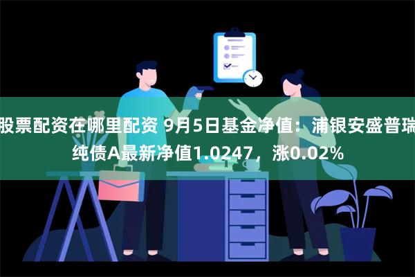 股票配资在哪里配资 9月5日基金净值：浦银安盛普瑞纯债A最新净值1.0247，涨0.02%