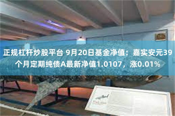 正规杠杆炒股平台 9月20日基金净值：嘉实安元39个月定期纯债A最新净值1.0107，涨0.01%