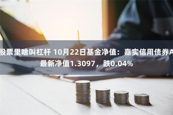 股票里啥叫杠杆 10月22日基金净值：嘉实信用债券A最新净值1.3097，跌0.04%