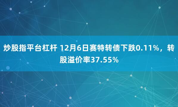 炒股指平台杠杆 12月6日赛特转债下跌0.11%，转股溢价率37.55%