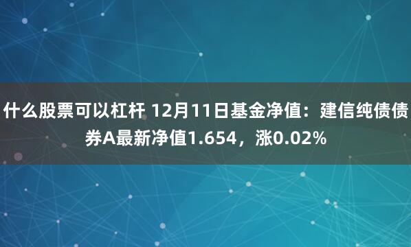 什么股票可以杠杆 12月11日基金净值：建信纯债债券A最新净值1.654，涨0.02%