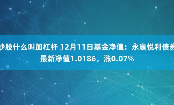 炒股什么叫加杠杆 12月11日基金净值：永赢悦利债券最新净值1.0186，涨0.07%