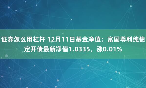 证券怎么用杠杆 12月11日基金净值：富国尊利纯债定开债最新净值1.0335，涨0.01%