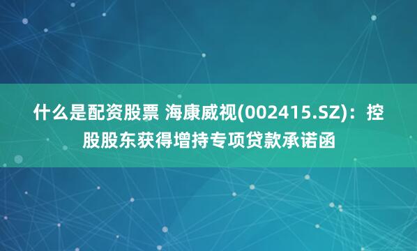 什么是配资股票 海康威视(002415.SZ)：控股股东获得增持专项贷款承诺函