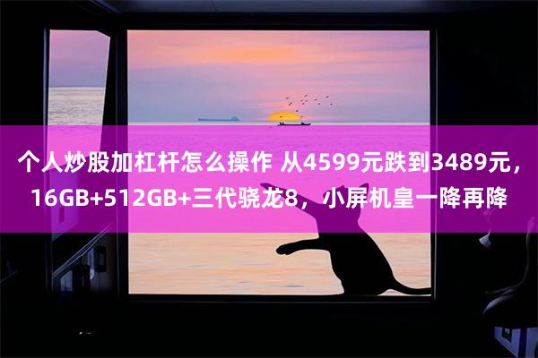 个人炒股加杠杆怎么操作 从4599元跌到3489元，16GB+512GB+三代骁龙8，小屏机皇一降再降