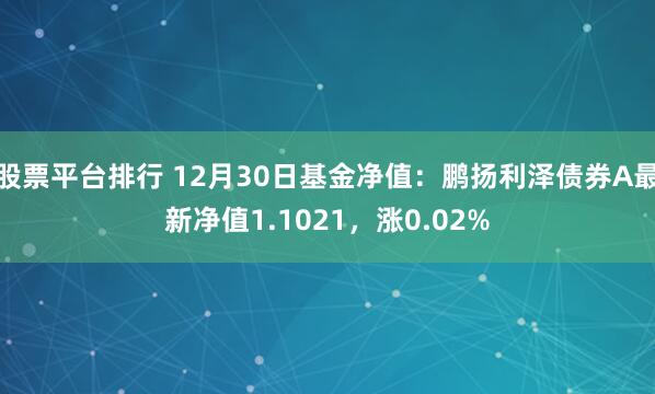 股票平台排行 12月30日基金净值：鹏扬利泽债券A最新净值1.1021，涨0.02%