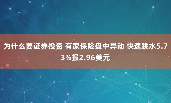 为什么要证券投资 有家保险盘中异动 快速跳水5.73%报2.96美元