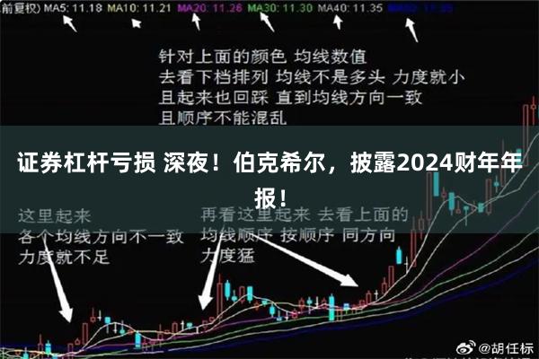 证券杠杆亏损 深夜！伯克希尔，披露2024财年年报！