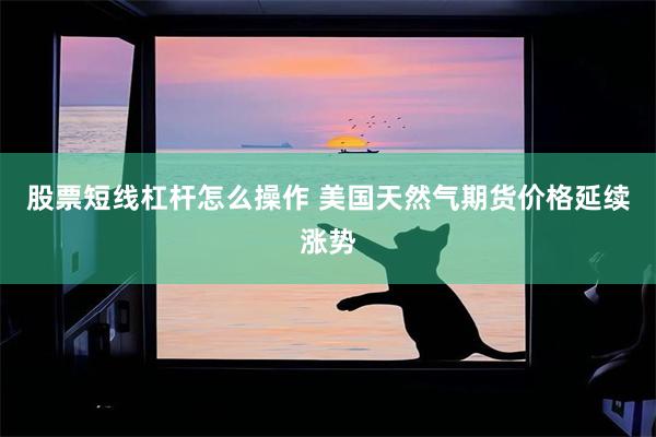 股票短线杠杆怎么操作 美国天然气期货价格延续涨势