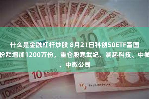 什么是金融杠杆炒股 8月21日科创50ETF富国基金份额增加1200万份，重仓股寒武纪、澜起科技、中微公司