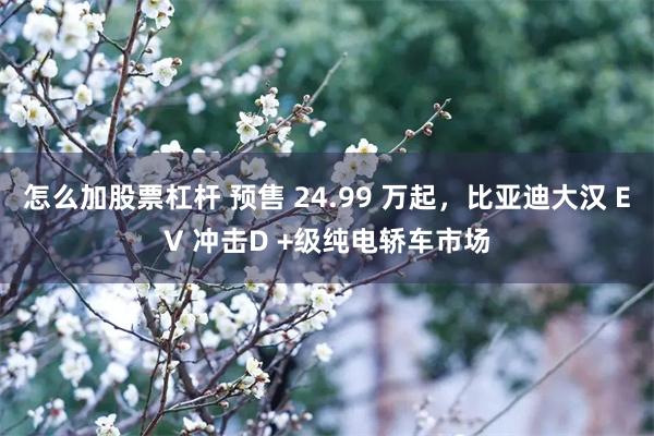 怎么加股票杠杆 预售 24.99 万起，比亚迪大汉 EV 冲击D +级纯电轿车市场
